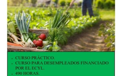 Agricultura ecológica