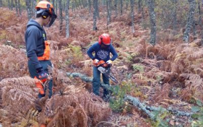 Curso Actividades Auxiliares en conservación de Montes