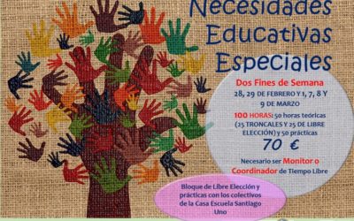 Curso Monitor Especialista en Necesidades Educativas especiales