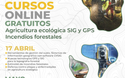 Próxima Oferta cursos Online