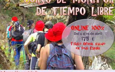 Curso Monitor 100% Online