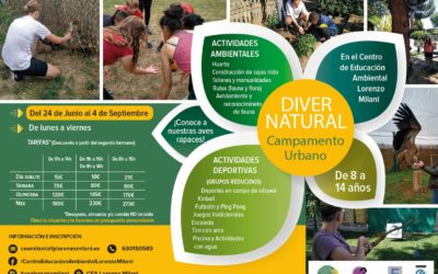 DiverNatural Campamento Urbano