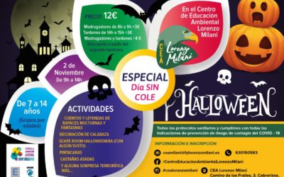 Especial Día sin cole «Halloween»