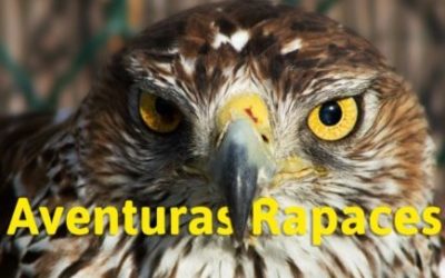 Aventuras Rapaces