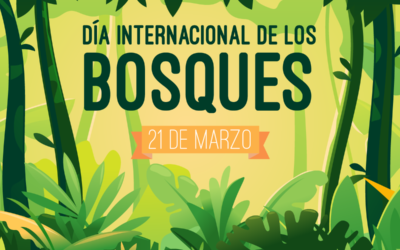 Día Internacional de los Bosques
