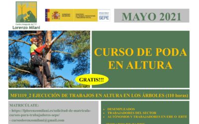 Curso «Ejecución de Trabajos en altura en los árboles»