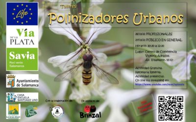 Taller polinizadores urbanos