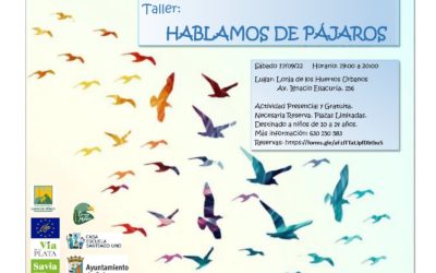 Taller: Hablamos de pájaros