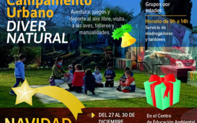 DiverNatural Campamento Urbano Navidad