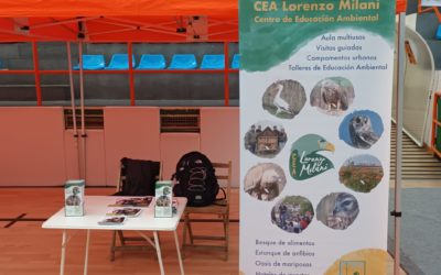 Media Maratón de Salamanca
