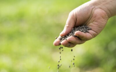 Curso de Abonado y Fertilización: la base para una producción agrícola eficiente y sostenible