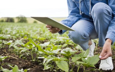 Descubre el futuro de la agricultura con el curso online de Prácticas y Métodos de Producción Ecológica, Integrada y Biodinámica